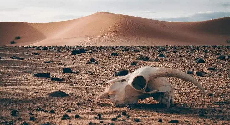 La Tierra Esta Agonizando Por Melissa Guilamo - Artículos Cristianos - Emisora Juvenil
