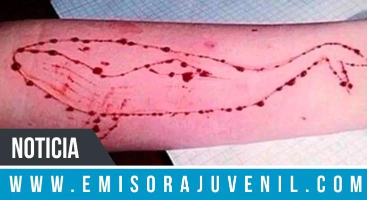 Teólogo advierte del juego diabólico La Ballena Azul que estimula el suicidio - Noticias Cristianas - Emisora Juvenil