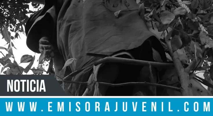 Insólito: Muere ahorcado un joven que interpretaba a Judas - Noticias Cristianas - Emisora Juvenil