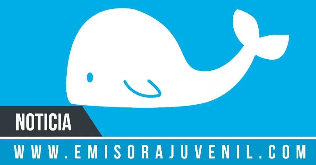 Joven cristiano crea La Ballena Blanca para combatir La Ballena Azul - Noticias Cristianas - Emisora Juvenil