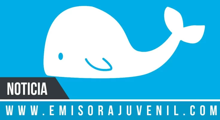 Joven cristiano crea La Ballena Blanca para combatir La Ballena Azul - Noticias Cristianas - Emisora Juvenil